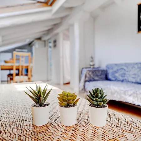 Apartament Preciosa Buhardilla En Centro