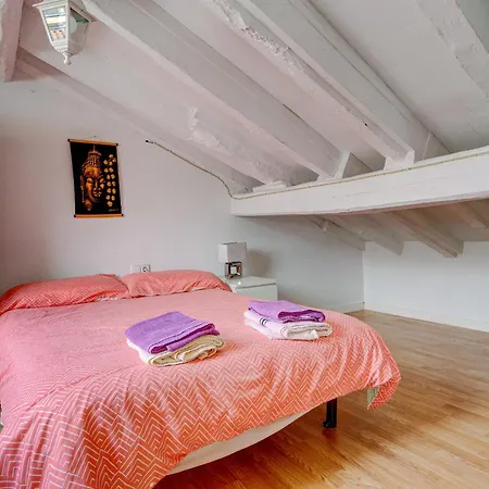 Preciosa Buhardilla En Centro *